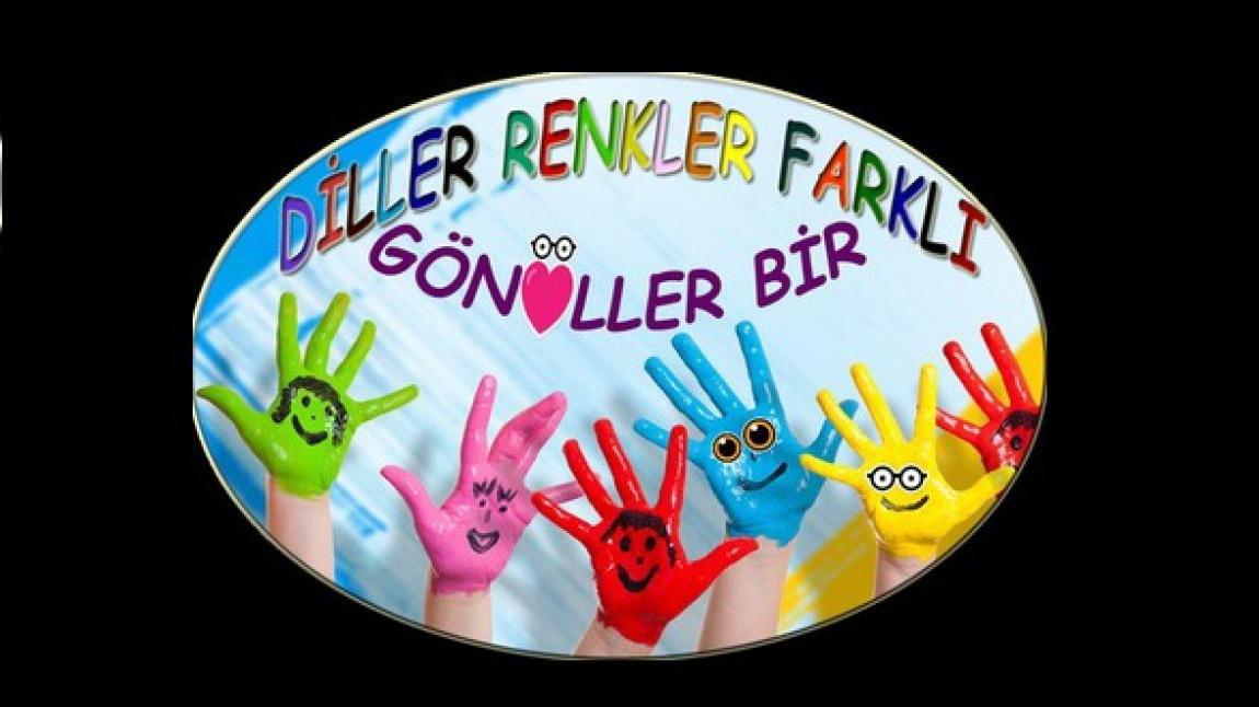 Diller Renkler Farklı Gönüller Bir eTwinning Projesi